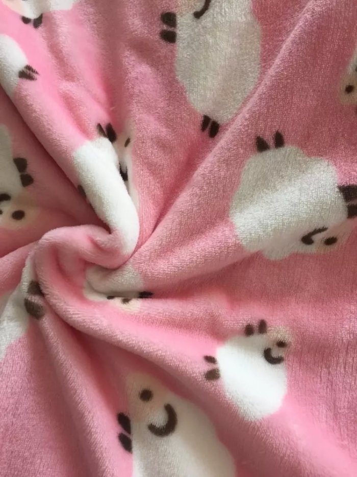 PPͲ塶PPSK